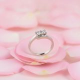 Anillo Clásico en Plata 950 con Zirconias hecho a mano